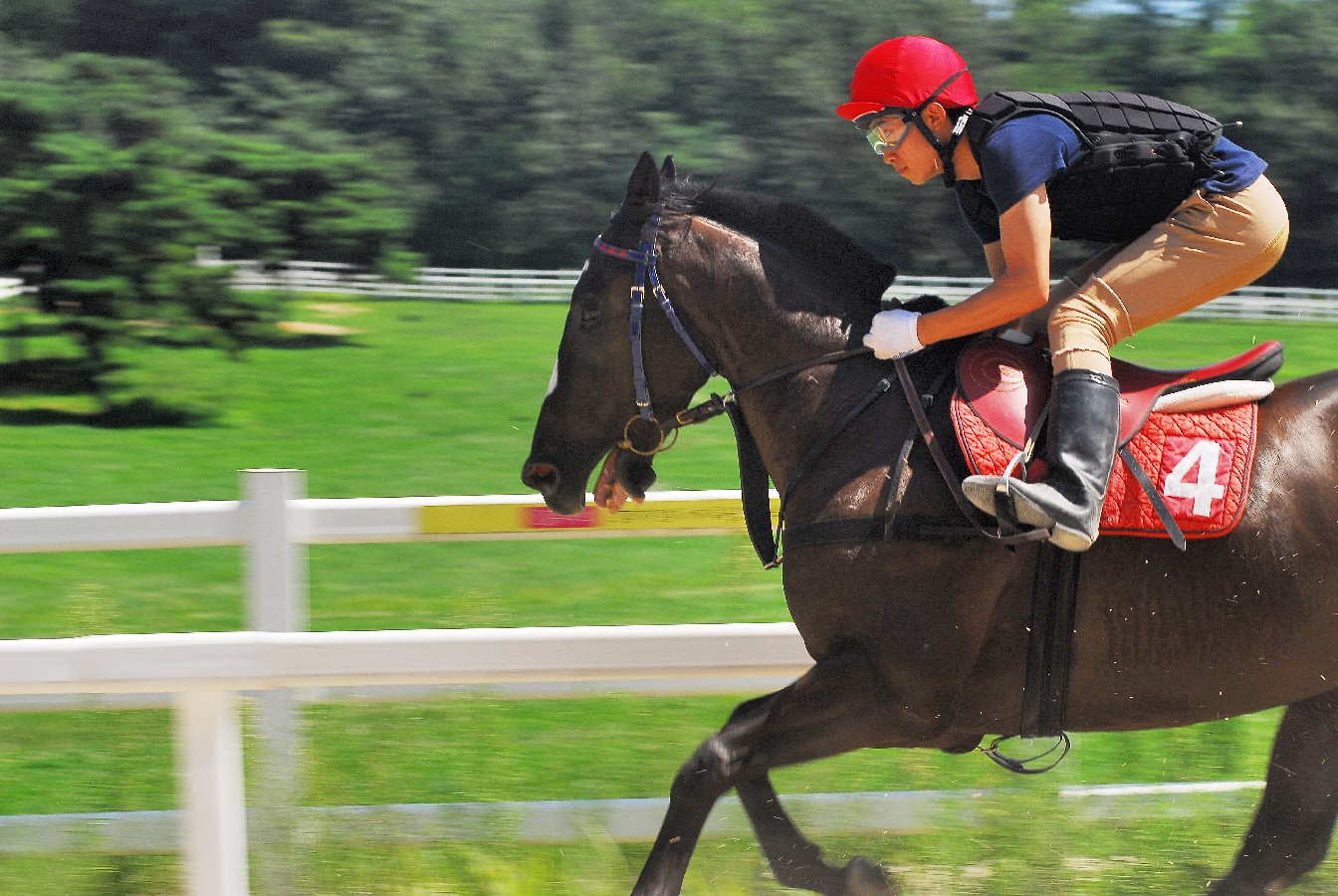 Prize winners – Choi Donghyeok – Running Horse